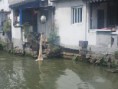 /album/galeria-de-fotos/suzhou-31-jpg/